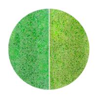 リーフジェルプレミアム スペースオペラ 7g ファラウェイ 067 グリーンヴェール