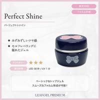 リーフジェルプレミアム パーフェクトシャイン 8g
