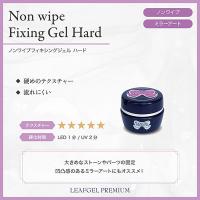 リーフジェルプレミアム ノンワイプフィキシングジェル 4g ハード