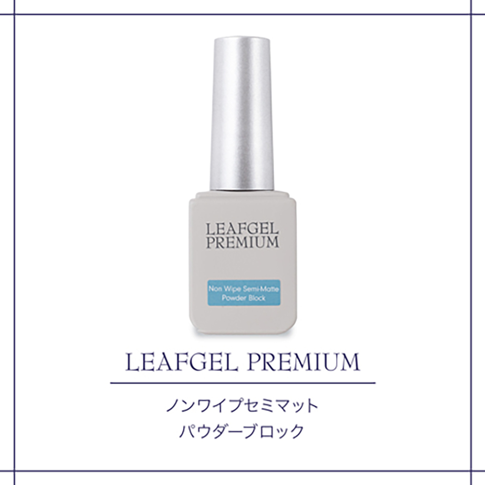 リーフジェルプレミアム ノンワイプセミマット 12g パウダーブロック