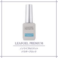 リーフジェルプレミアム ノンワイプセミマット 12g パウダーブロック