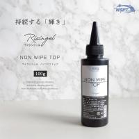 WSPT JAPAN ライジンジェル ノンワイプトップジェル 100g GE61163