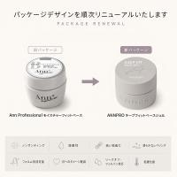 ANNPRO キープフィットベースジェル 10g #38303