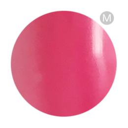 リーフジェルプレミアム カラージェル 4g 021 トロピークローズ