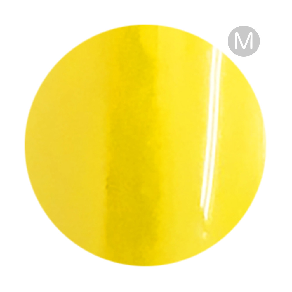 リーフジェルプレミアム カラージェル 4g 023 トロピークバナーヌ