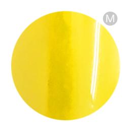 リーフジェルプレミアム カラージェル 4g 023 トロピークバナーヌ