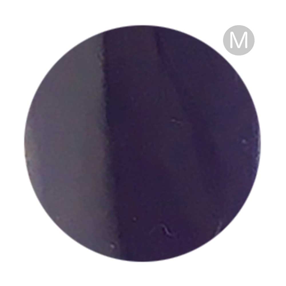 リーフジェルプレミアム カラージェル 4g 025 トロピークヴィオレ