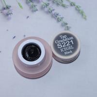 ICEGEL ABLACK タップグラデーションジェル 2g S221 ブラック