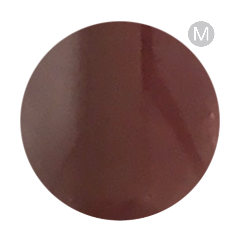 リーフジェルプレミアム カラージェル 4g 041 ガナッシュ