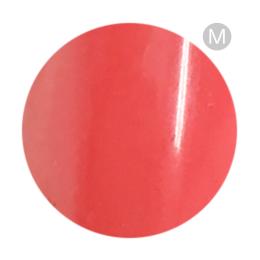 リーフジェルプレミアム カラージェル 4g 101 アンジェニュポム