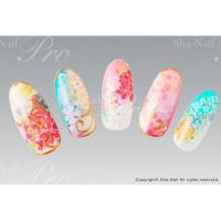 写ネイルPRO 和の花 モダン FJS-002