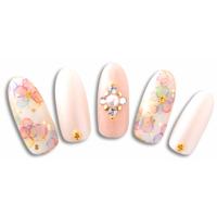 写ネイルPRO 水彩 フラワードロップス カラフル WCFD-001