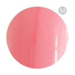 リーフジェルプレミアム カラージェル 4g 120 ラプチポセ