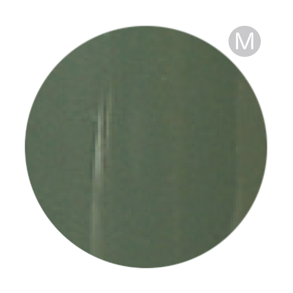 リーフジェルプレミアム カラージェル 4g 408 ROKUSHOH ロクショウ