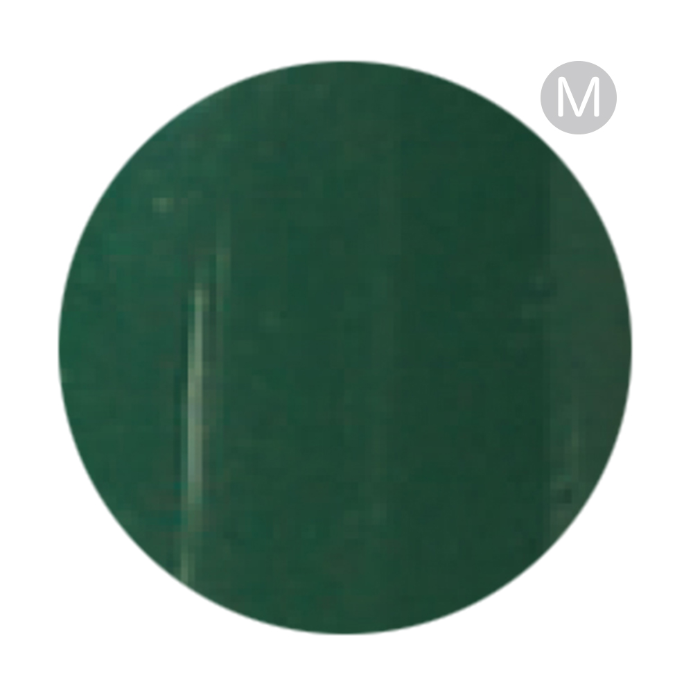 リーフジェルプレミアム カラージェル 4g 407 CHITOSEMIDORI チトセミドリ