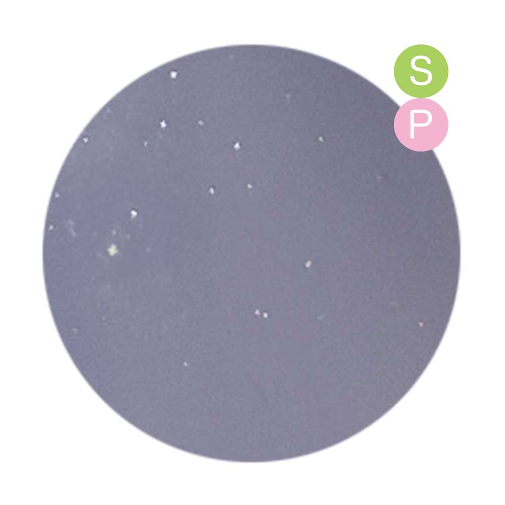 PREGEL カラーEX 3g PG-CE999 ミストパープル