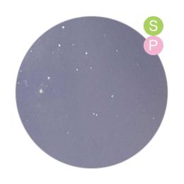 PREGEL カラーEX 3g PG-CE999 ミストパープル