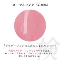 アイニティ 検定コレクション カラージェル 3g コーラルピンク KC-02M