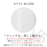 アイニティ 検定コレクション カラージェル 3g ホワイト KC-03M