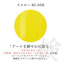 アイニティ 検定コレクション カラージェル 3g イエロー KC-05M