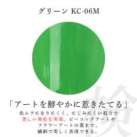 アイニティ 検定コレクション カラージェル 3g グリーン KC-06M