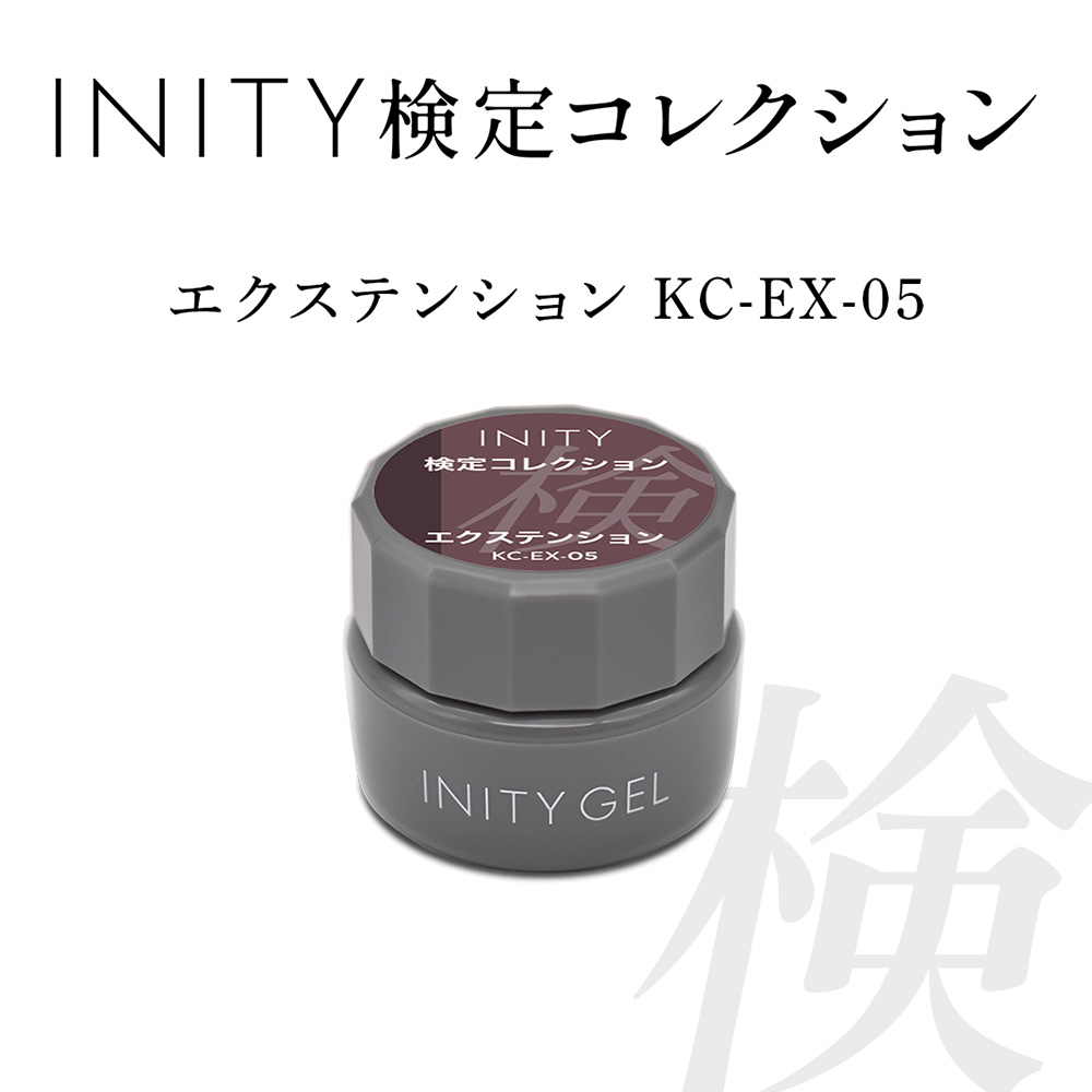 アイニティ 検定コレクション エクステンション 5g KC-EX-05