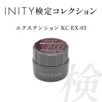 アイニティ 検定コレクション エクステンション 5g KC-EX-05