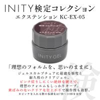 アイニティ 検定コレクション エクステンション 5g KC-EX-05