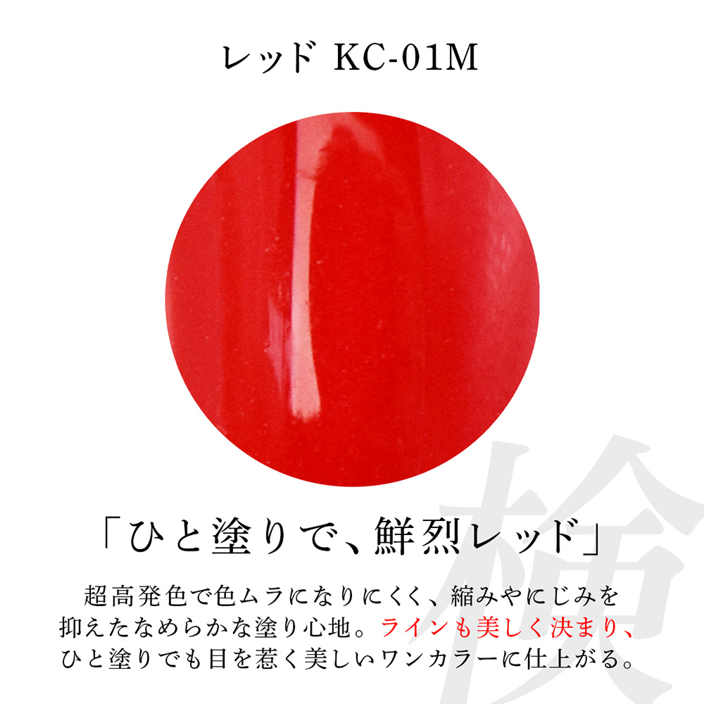 アイニティ 検定コレクション 検定レッドセット KC-RST