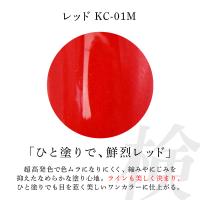 アイニティ 検定コレクション 検定レッドセット KC-RST