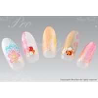 写ネイルPRO ロマンティックレース　ライン カラフル RLL-005