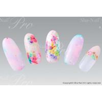 写ネイルPRO フラワークローゼット パステル FLC-002
