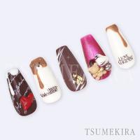 ツメキラ オータム ウインター フォントコレクション NN-PAR-001