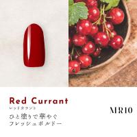 ●Dna Gel カラージェル 2.5g MR10 レッドカラント