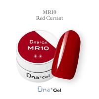 ●Dna Gel カラージェル 2.5g MR10 レッドカラント