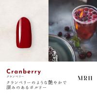 ●Dna Gel カラージェル 2.5g MR11 クランベリー