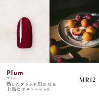 ●Dna Gel カラージェル 2.5g MR12 プラム