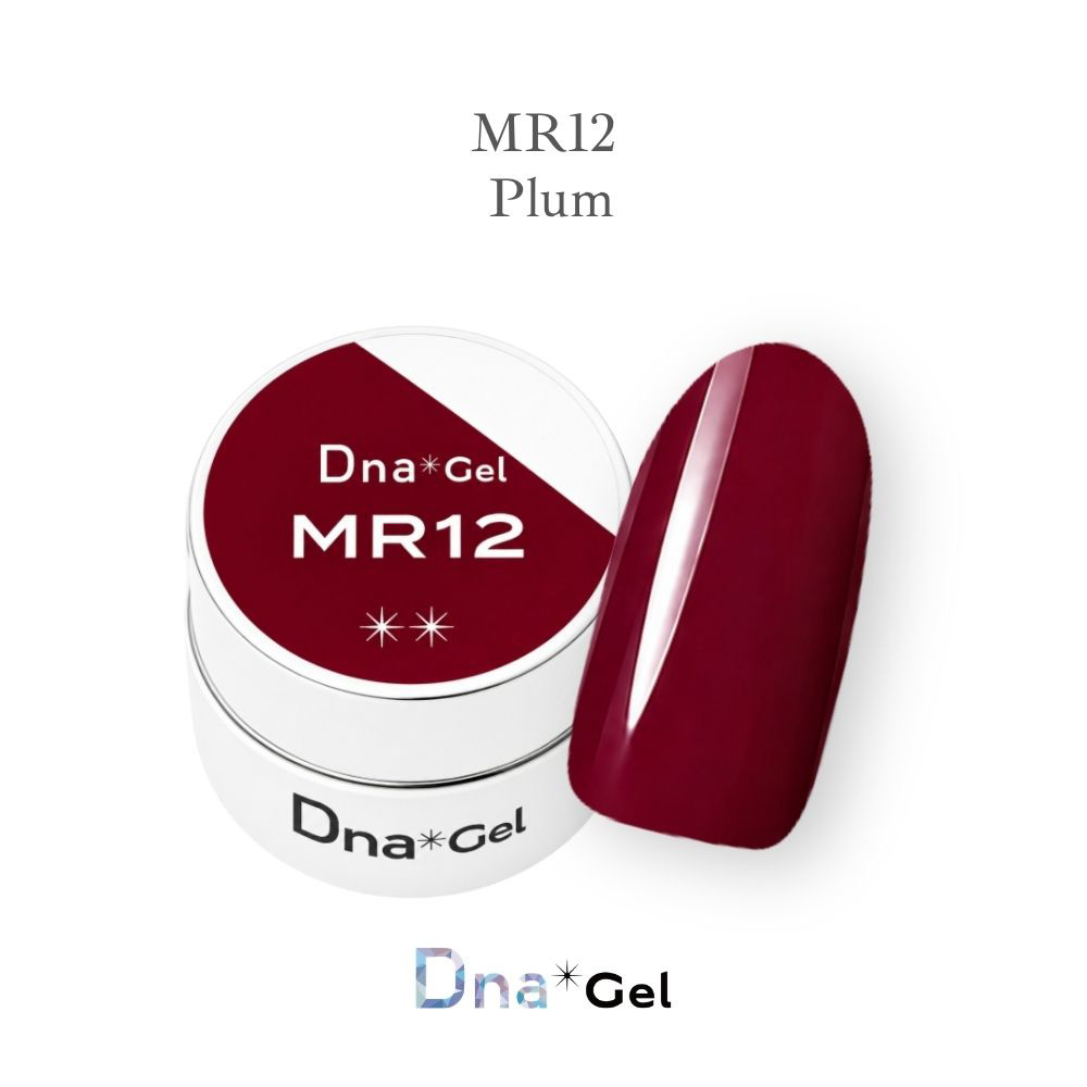 ●Dna Gel カラージェル 2.5g MR12 プラム