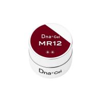 ●Dna Gel カラージェル 2.5g MR12 プラム