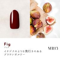 ●Dna Gel カラージェル 2.5g MR13 フィグ