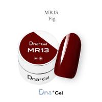 ●Dna Gel カラージェル 2.5g MR13 フィグ