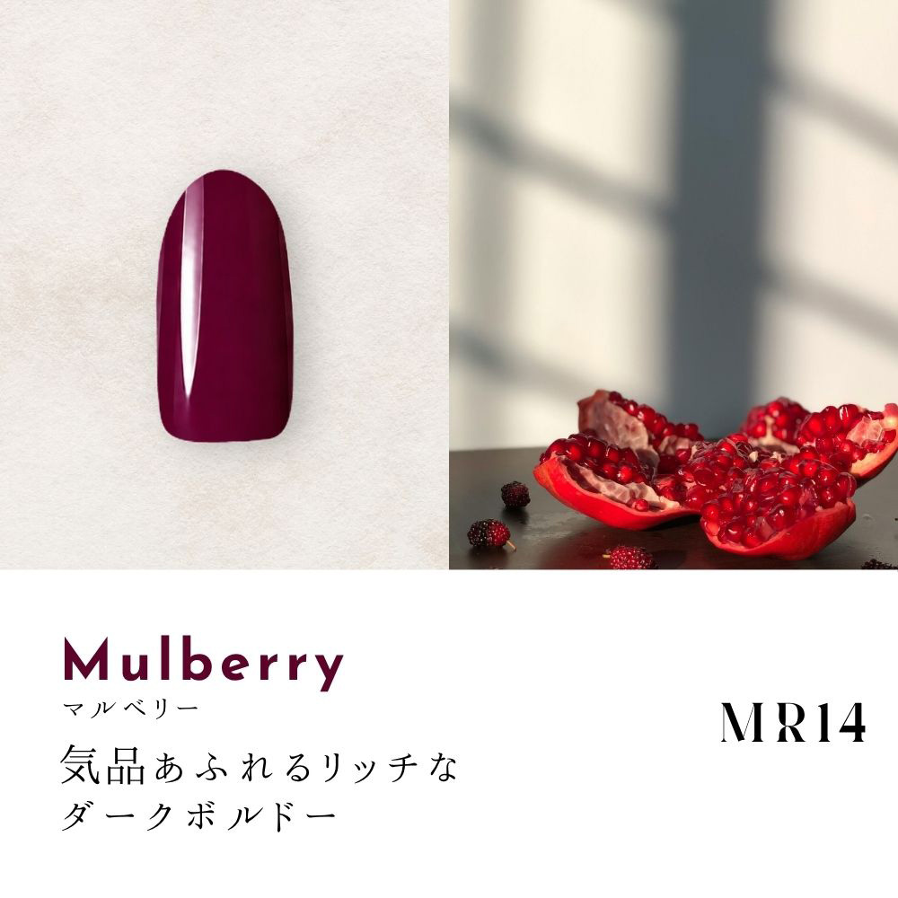 ●Dna Gel カラージェル 2.5g MR14 マルベリー