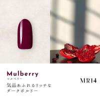 ●Dna Gel カラージェル 2.5g MR14 マルベリー