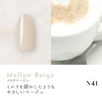 ●Dna Gel カラージェル 2.5g N41 メロウベージュ