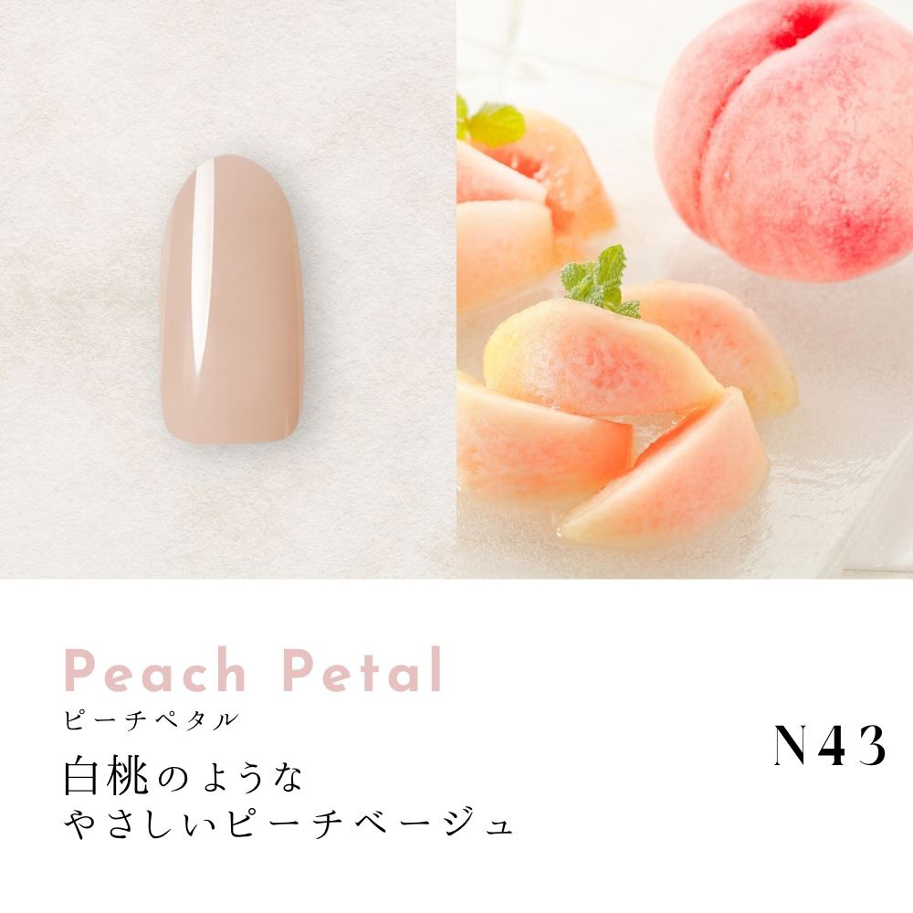 ●Dna Gel カラージェル 2.5g N43 ピーチペタル