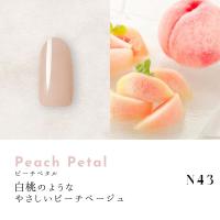 ●Dna Gel カラージェル 2.5g N43 ピーチペタル