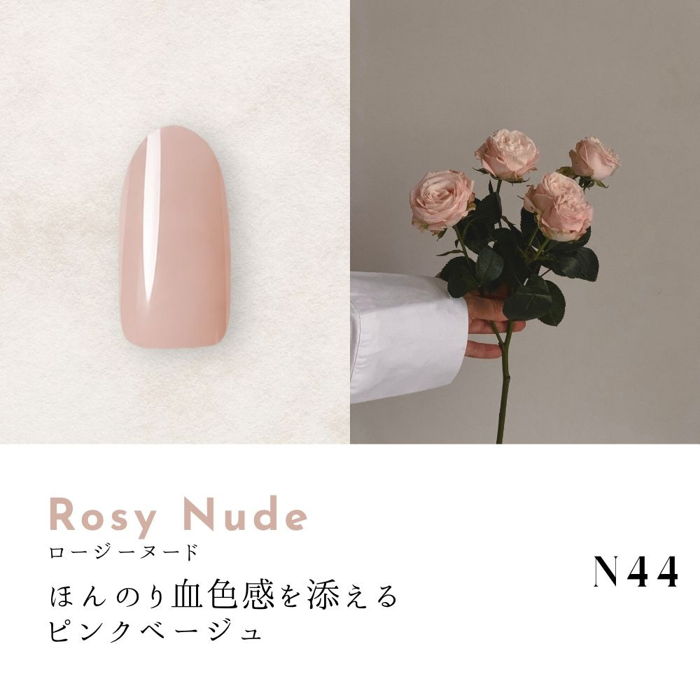 ●Dna Gel カラージェル 2.5g N44 ロージーヌード