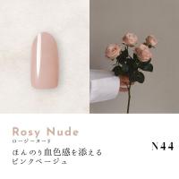 ●Dna Gel カラージェル 2.5g N44 ロージーヌード