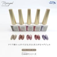 WSPT JAPAN ライジンジェル マグネットカラーネイル 7ml CA003