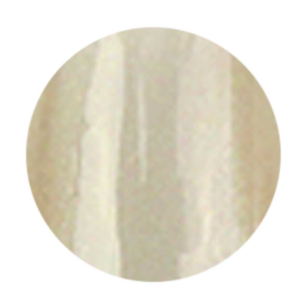 WSPT JAPAN ライジンジェル マグネットカラーネイル 7ml IC002